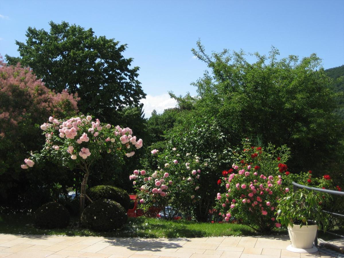 Hotel Anna Badenweiler Dış mekan fotoğraf